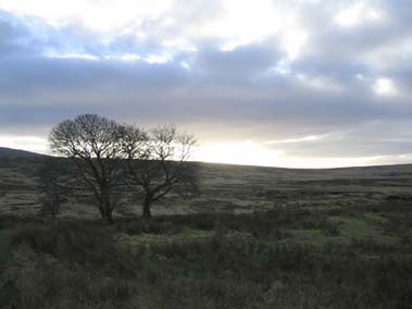 Wicklow, Ireland Photo 1